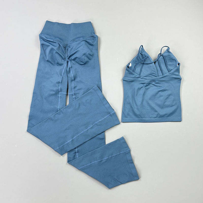 Комплект из 2 предметов: Женск – обзор и цена Pilates Yoga Clothes